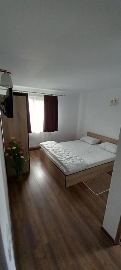 Pensiune Restaurant Alex Copalnic-Manastur Bagian luar foto